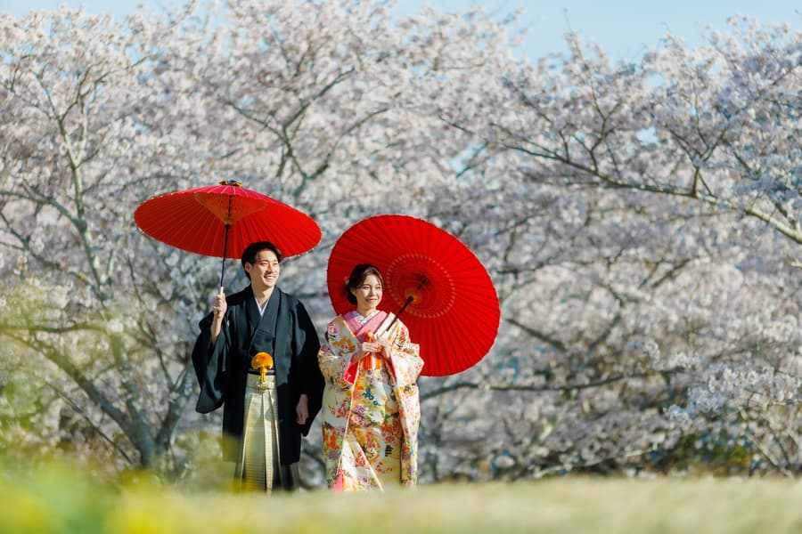 ウェディング写真　和装色打掛新婦と袴の新郎　桜の前で赤い傘をさしている