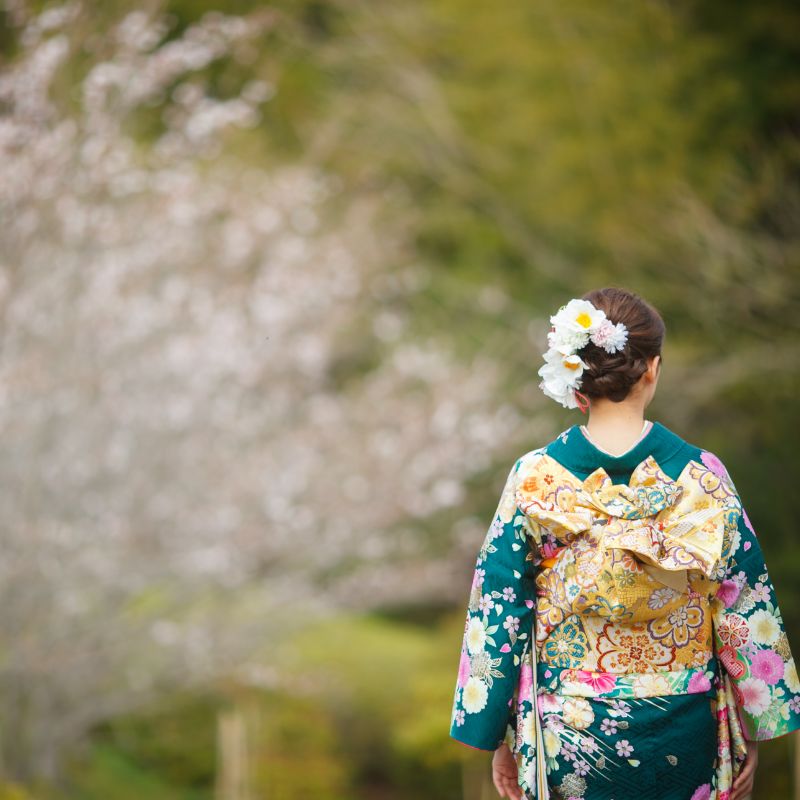 DAIOKU写真スタジオ　ロケ写真見本　敷地内にある桜を背景に