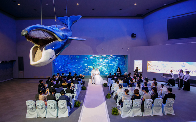 鳥羽水族館挙式全景写真 水槽前にて